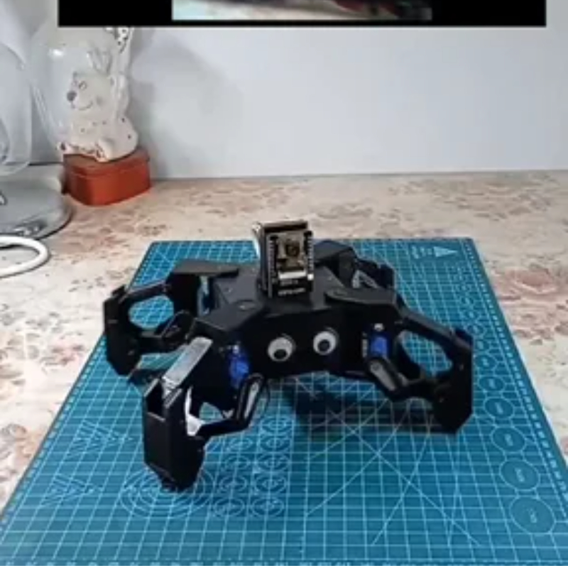 SG90 Video Robot Spider met Ca - Coding Robot Toy recensie en prijs